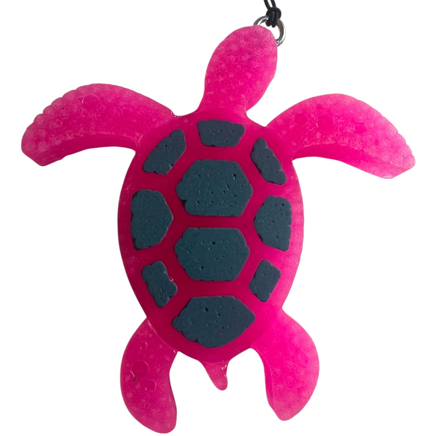 Sea Turtle - Baja Cactus Blossom