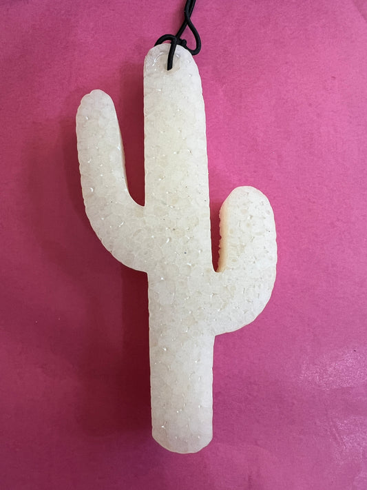 Cactus - Pink Sugar