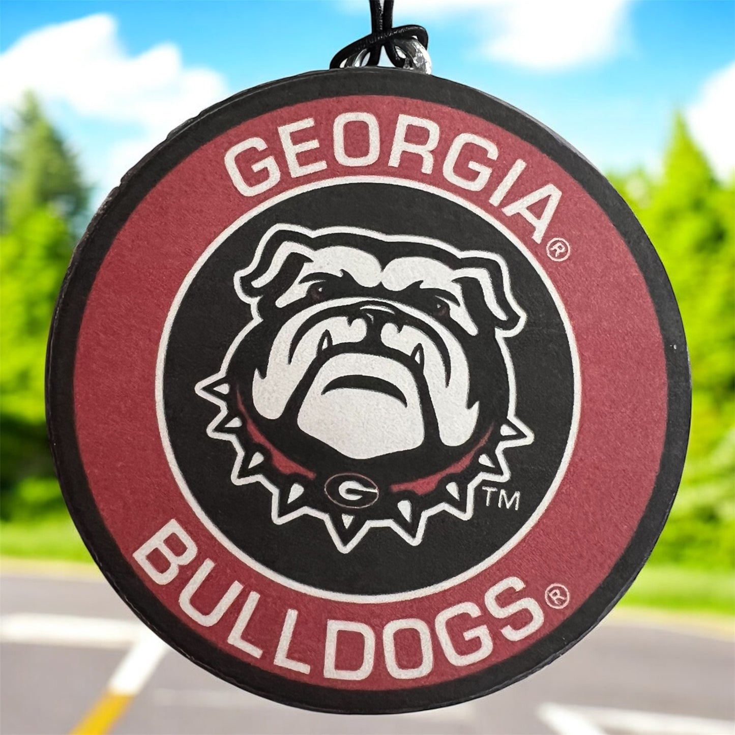 SEC - GA Bulldogs - Leather